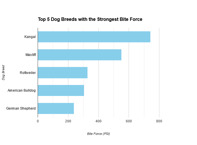 top 5 dog breeds with the strongest bite force bar graph