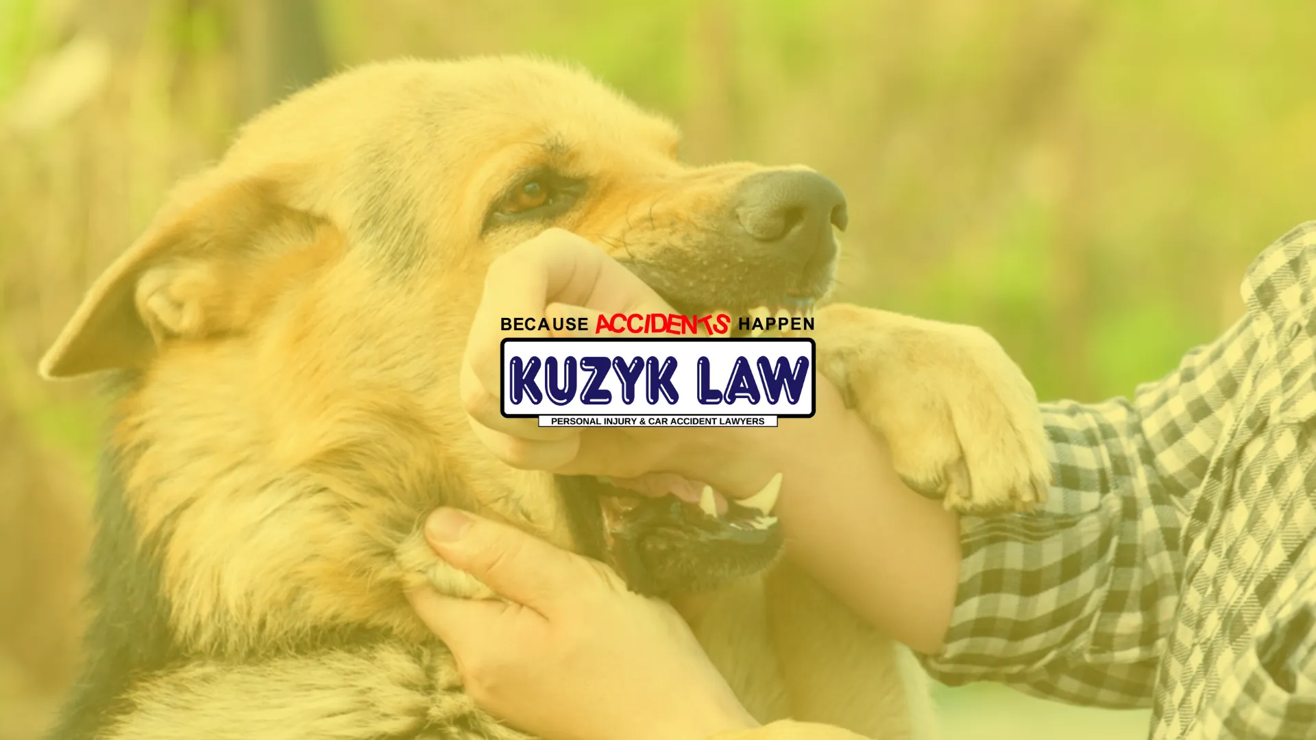 California Dog Bite Laws and Regulations Frequently Asked Questions